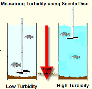 Figure 3. Secchi disk for measuring turbidity.[4]