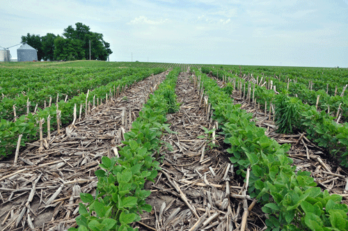 File:Nrcs142p2 004387.gif