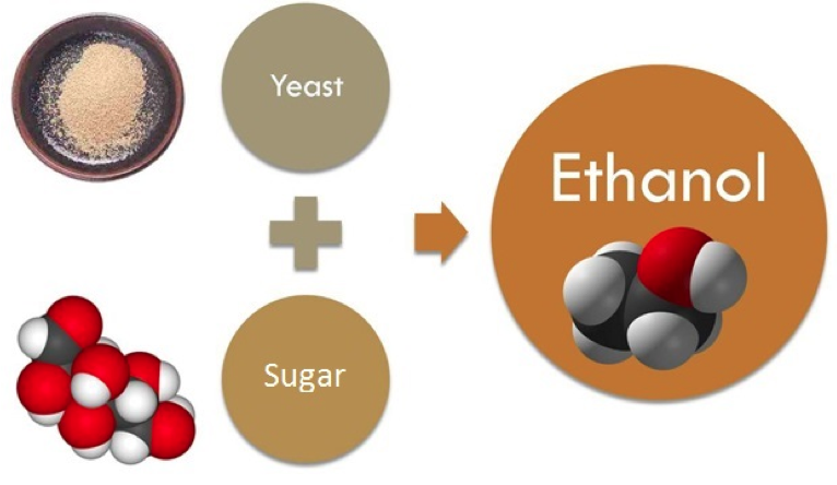 File:Ethanol Fermentation.png