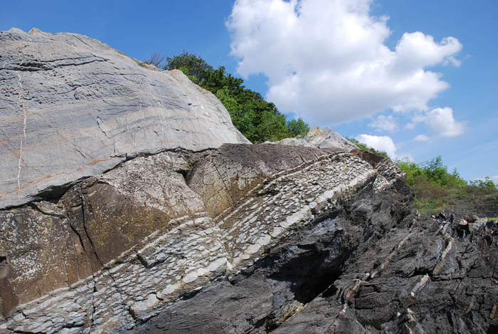 File:Ordovicium-Silurian bound.jpg