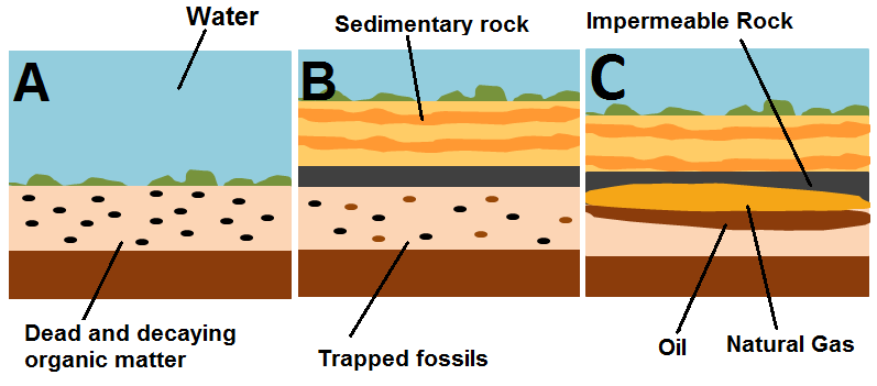 Oilgasformation2.png