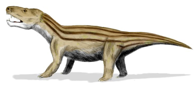 File:Cynognathus BW.jpg