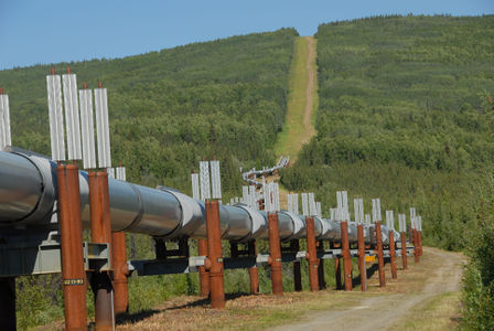 The Alaskan pipeline has warm oil flowing through it which could thaw permafrost, so it must be raised (it also allows the oil to stay warmer).[9]