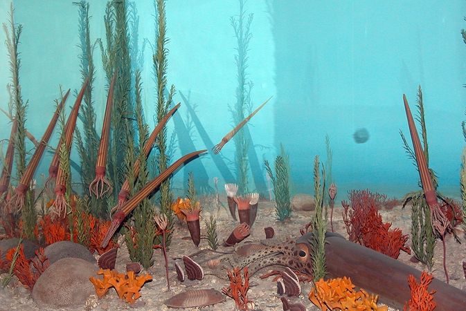 Figure 2. Ordovician diorama at Washington's National Museum of Natural History.[5]