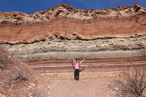 Earth's crust (sedimentary rocks ~75,000,000 GtC).[5]