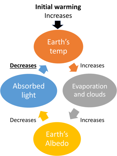 File:Cloud negative feedback.png