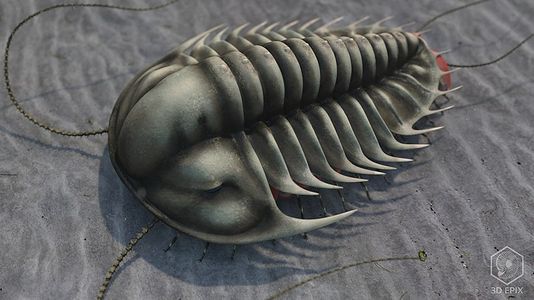 Figure 3. Cambrian trilobite artist rendering.[5]