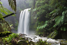 Environment, Hydrologic cycle, Carbon cycle