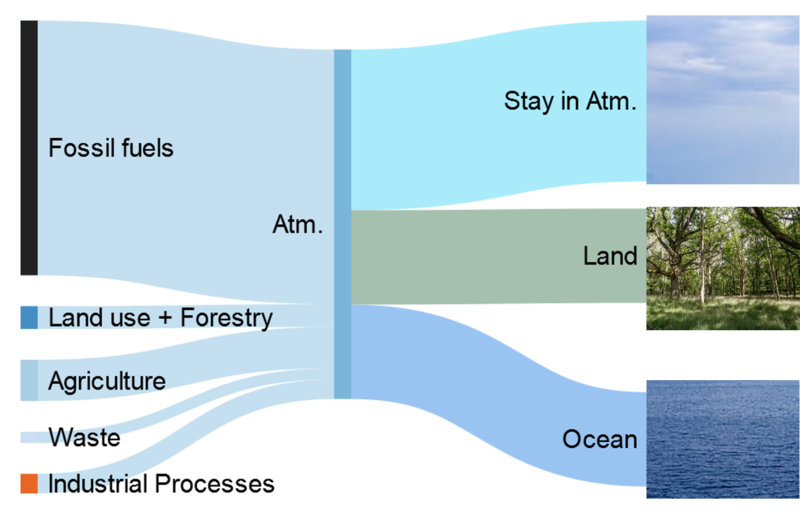File:Anthropogenic carbon emission Sankey.png