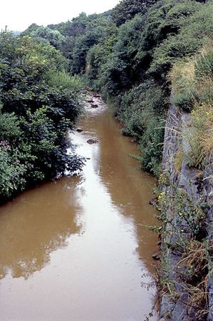 Figure 1. A highly turbid water stream.[2]