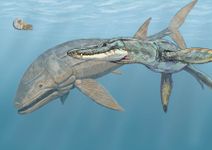 Figure 4. A Pliosaurus (right) and a Leedsichthys.[7]