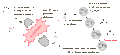 Thumbnail for version as of 22:18, 27 August 2015