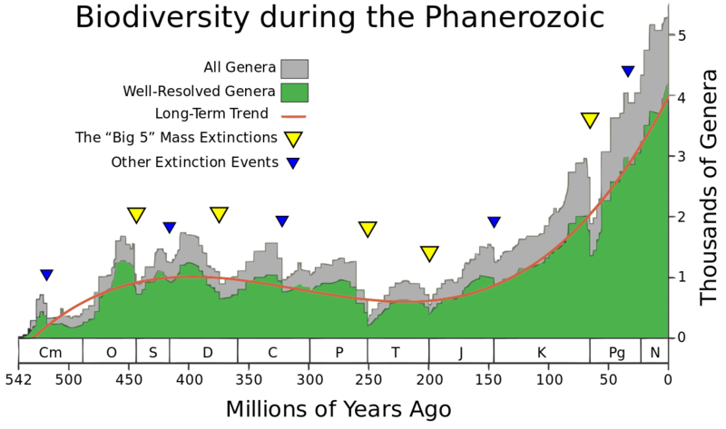 File:Phanerozoic Biodiversity.png