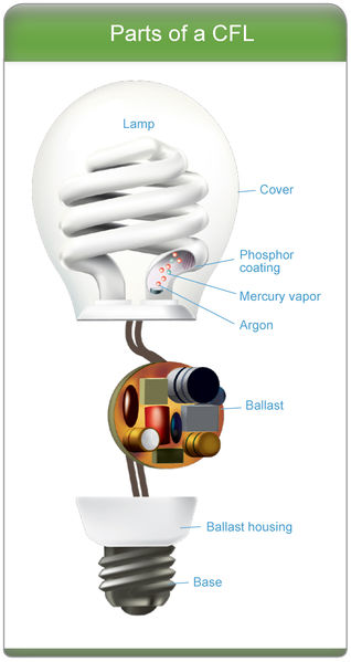 File:Parts of CFL large.jpg
