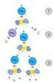 Thumbnail for version as of 22:19, 27 August 2015