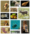 Thumbnail for version as of 20:39, 3 September 2015
