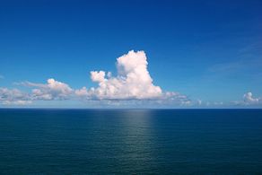 The ocean (~37,000 GtC).[3]