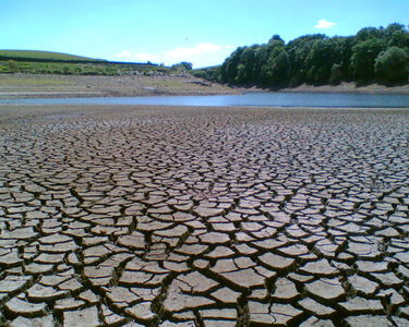 Figure 5: Droughts can last for months to years, impacting ecosystems and agriculture, and damaging economies.[7]