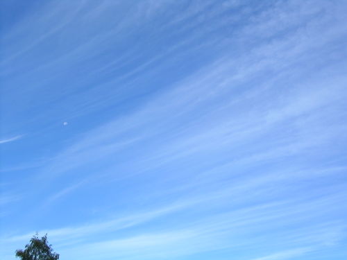 Figure 1. High wispy clouds reflect little sunlight, while trapping infrared radiation and warming the Earth.[3]