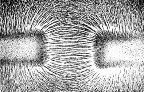Figure 2: The magnetic field lines from a North-South interaction of magnetic fields.[3]
